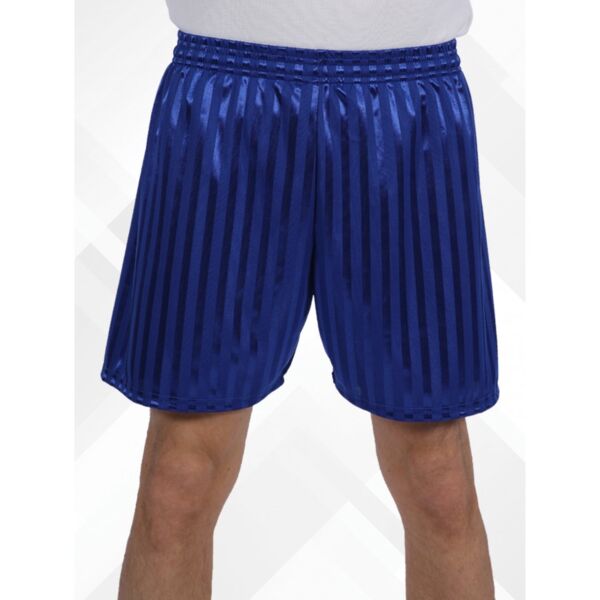 Shadow Stripe PE Shorts Thumbnail