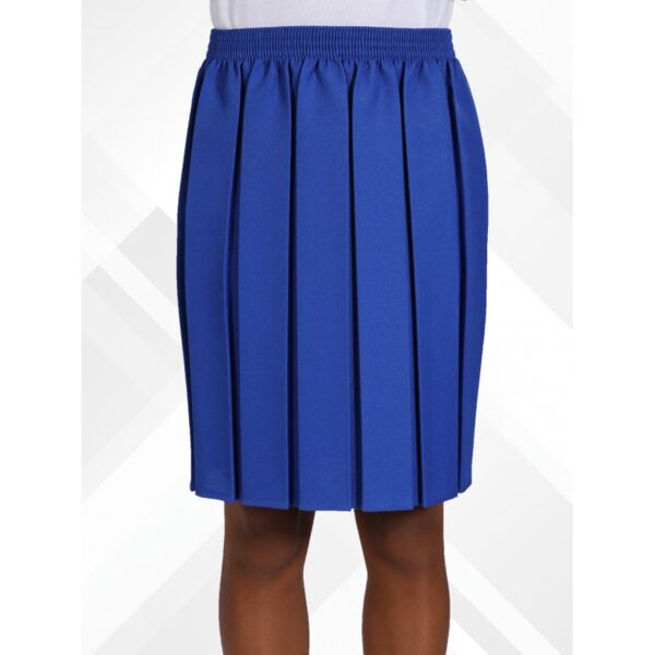 Box Pleat Skirt School Thumbnail