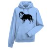 Authentic hooded sweatshirt Thumbnail