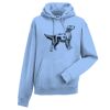 Authentic hooded sweatshirt Thumbnail