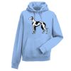 Authentic hooded sweatshirt Thumbnail