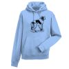 Authentic hooded sweatshirt Thumbnail