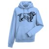 Authentic hooded sweatshirt Thumbnail
