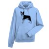 Authentic hooded sweatshirt Thumbnail