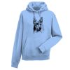 Authentic hooded sweatshirt Thumbnail