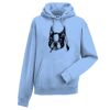Authentic hooded sweatshirt Thumbnail