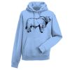 Authentic hooded sweatshirt Thumbnail