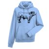 Authentic hooded sweatshirt Thumbnail