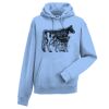 Authentic hooded sweatshirt Thumbnail