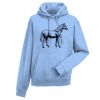 Authentic hooded sweatshirt Thumbnail