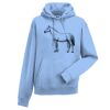 Authentic hooded sweatshirt Thumbnail