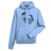 Authentic hooded sweatshirt Thumbnail