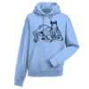 Authentic hooded sweatshirt Thumbnail