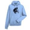 Authentic hooded sweatshirt Thumbnail