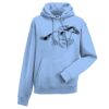 Authentic hooded sweatshirt Thumbnail
