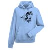 Authentic hooded sweatshirt Thumbnail