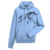 Authentic hooded sweatshirt Thumbnail