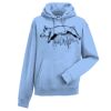 Authentic hooded sweatshirt Thumbnail