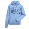 Authentic hooded sweatshirt Thumbnail