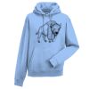 Authentic hooded sweatshirt Thumbnail