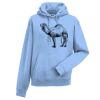 Authentic hooded sweatshirt Thumbnail