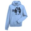 Authentic hooded sweatshirt Thumbnail