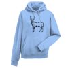 Authentic hooded sweatshirt Thumbnail
