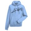 Authentic hooded sweatshirt Thumbnail