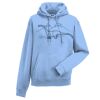 Authentic hooded sweatshirt Thumbnail