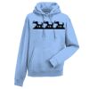 Authentic hooded sweatshirt Thumbnail