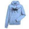 Authentic hooded sweatshirt Thumbnail