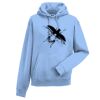 Authentic hooded sweatshirt Thumbnail