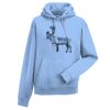 Authentic hooded sweatshirt Thumbnail
