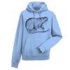 Authentic hooded sweatshirt Thumbnail
