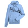 Authentic hooded sweatshirt Thumbnail