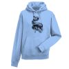 Authentic hooded sweatshirt Thumbnail