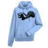 Authentic hooded sweatshirt Thumbnail