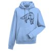 Authentic hooded sweatshirt Thumbnail