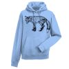 Authentic hooded sweatshirt Thumbnail
