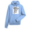 Authentic hooded sweatshirt Thumbnail