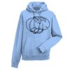 Authentic hooded sweatshirt Thumbnail