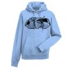 Authentic hooded sweatshirt Thumbnail