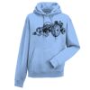 Authentic hooded sweatshirt Thumbnail