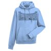 Authentic hooded sweatshirt Thumbnail