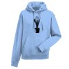 Authentic hooded sweatshirt Thumbnail