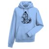 Authentic hooded sweatshirt Thumbnail