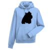 Authentic hooded sweatshirt Thumbnail