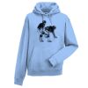 Authentic hooded sweatshirt Thumbnail