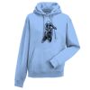 Authentic hooded sweatshirt Thumbnail